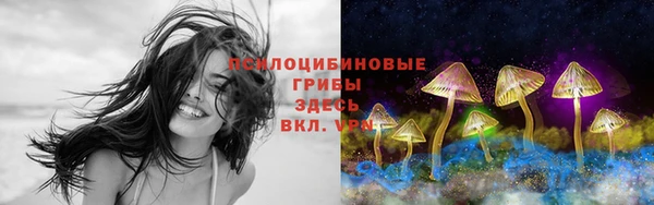 ешки Белокуриха