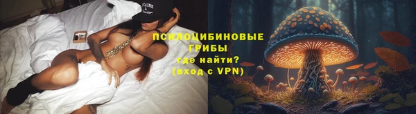 ПСИЛОЦИБИНОВЫЕ ГРИБЫ Белоозёрский