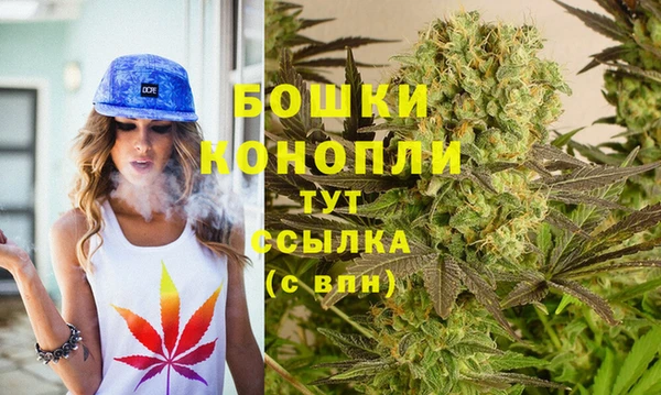 ешки Белокуриха
