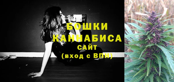 ПСИЛОЦИБИНОВЫЕ ГРИБЫ Белоозёрский