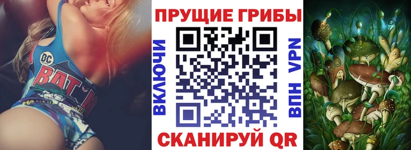 Галлюциногенные грибы GOLDEN TEACHER  Буйнакск 
